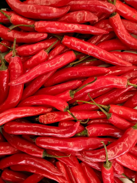The Ultimate Guide to Red Chili Powder: A Spice That Transforms Your Dishes | HR Masala